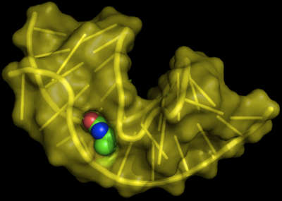 Aptamer biotin.png