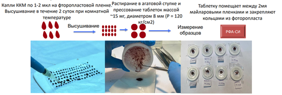 Работа с красным костным мозгом.png